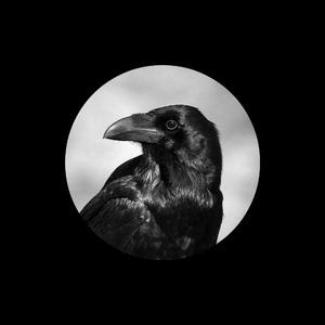 西村妮娜最经典十部电影有哪些
