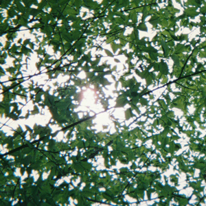 西村妮娜最经典十部电影有哪些
