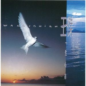 西村妮娜最经典十部电影有哪些
