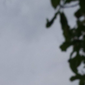 西村妮娜最经典十部电影有哪些
