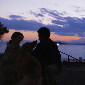 西村妮娜最经典十部电影有哪些
