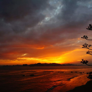 西村妮娜最经典十部电影有哪些
